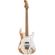 Charvel Henrik Danhage Signature: Picture 1 thumbnail
