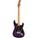 Charvel Marco Sfogli Signature: Picture 1 thumbnail