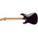 Charvel Marco Sfogli Signature: Picture 2 thumbnail