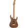 Charvel Pro-Mod DK22 SSS 2PT CM: Picture 1 thumbnail