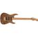 Charvel Pro-Mod DK22 SSS 2PT CM: Picture 7 thumbnail