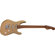 Charvel Pro-Mod DK22 SSS 2PT CM: Picture 4 thumbnail