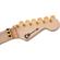 Charvel Pro-Mod DK24 HH FR M: Picture 9 thumbnail
