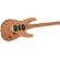 Charvel Pro-Mod DK24 HSH 2PT CM: Picture 6 thumbnail