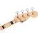 Charvel Pro-Mod So-Cal Bass PJ IV: Picture 5 thumbnail