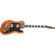 Charvel Joe Duplantier Signature: Picture 4 thumbnail