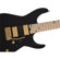 Charvel Angel Vivaldi Signature: Picture 5 thumbnail