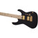 Charvel Angel Vivaldi Signature: Picture 7 thumbnail