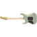 Charvel Angel Vivaldi Signature: Picture 3 thumbnail
