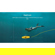 CHASING Dory Underwater Drone: Picture 17 thumbnail