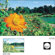 Cokin Split Field Filter +3 Series A: Picture 2 thumbnail