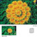 Cokin Multi-Image Filter 25 Series A: Picture 1 thumbnail