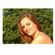 Cokin 81 Warming Filter: Picture 1 thumbnail