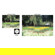 Cokin Dreams Filter: Picture 3 thumbnail