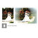 Cokin P140 Clear Diffuser Filter with Ov...: Picture 2 thumbnail