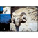Cokin X-Pro Series ND Filter: Picture 2 thumbnail