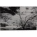 Cokin 89B. Infra-Red Filter: Picture 2 thumbnail