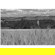 Cokin Z1 Yellow Filter: Picture 3 thumbnail