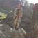 Clauss RODEON piXplorer: Picture 9 thumbnail