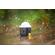 CLAR WL4B: Picture 12 thumbnail