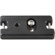Camdapter Standard Neoprene Adapter: Picture 1 thumbnail