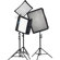Chimera 40 Deg Fabric Grid Set for X-Sma...: Picture 1 thumbnail