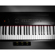 Artesia Harmony: Picture 5 thumbnail