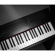 Artesia Harmony: Picture 6 thumbnail