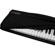 Artesia Harmony: Picture 10 thumbnail