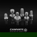 CAMVATE Screws: Picture 5 thumbnail