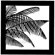 Chimera Palm Leaves Window Pattern for F...: Picture 2 thumbnail