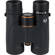Celestron Regal ED: Picture 5 thumbnail