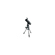 Celestron Advanced VX: Picture 3 thumbnail