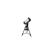 Celestron NexStar Evolution 9.25" Schmid...: Picture 3 thumbnail