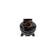 Celestron NexStar Evolution 9.25" Schmid...: Picture 4 thumbnail
