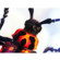 Celestron Bug Specimen Kit #1: Picture 4 thumbnail