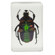 Celestron Bug Specimen Kit #2: Picture 6 thumbnail