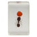 Celestron Bug Specimen Kit #3: Picture 2 thumbnail