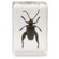 Celestron Bug Specimen Kit #3: Picture 6 thumbnail