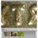 Celestron Amoeba Dual Purpose 10x, 60x and 200x Power Digital Microscope (Blue): Picture 3 thumbnail
