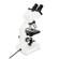 Celestron CB1000CF: Picture 4 thumbnail