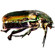 Celestron Infiniview LCD Digital Microsc...: Picture 6 thumbnail