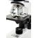 Celestron Labs CB2000C - Compound Binocu...: Picture 4 thumbnail