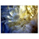 Celestron LCD Handheld Digital Microscop...: Picture 2 thumbnail