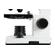 Celestron Labs CM800 - Compound Microsco...: Picture 7 thumbnail