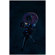 Celestron NexStar SE: Picture 8 thumbnail
