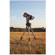 Celestron NexStar SE: Picture 7 thumbnail