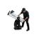 Celestron StarSense: Picture 23 thumbnail