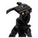Celestron TFTE: Picture 5 thumbnail