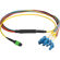 Camplex 6' MTP Elite APC Male to 12 LC U...: Picture 1 thumbnail